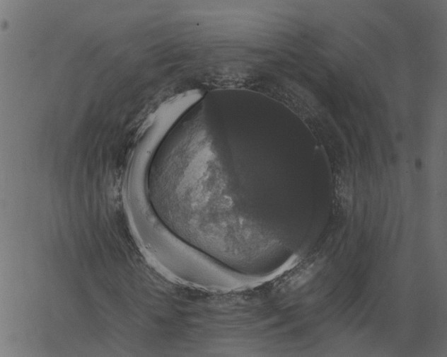 X0000067870818200604271733