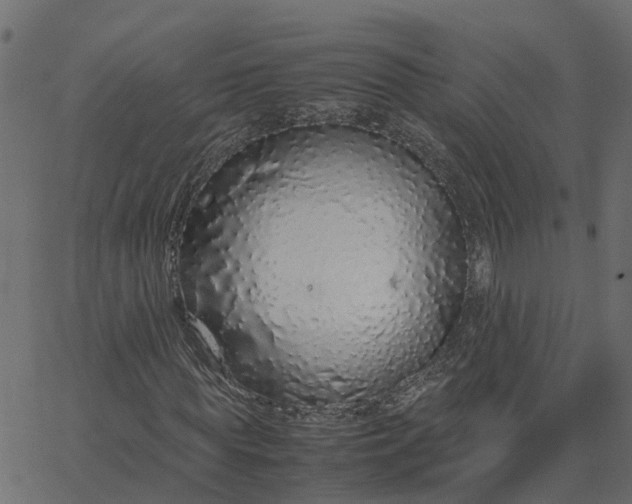 X0000067870819200604271733