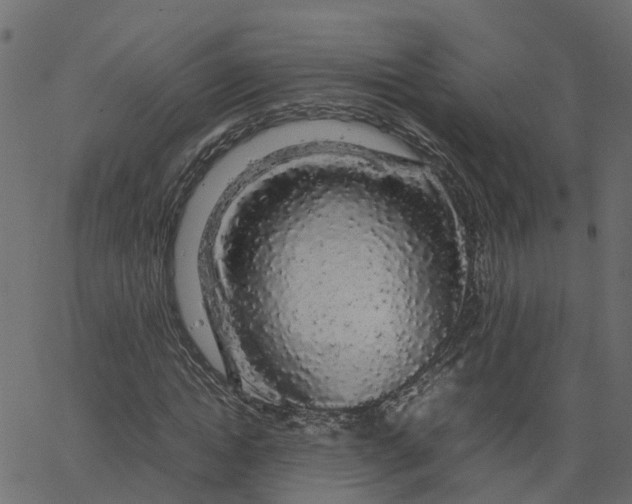 X0000067870822200604271733