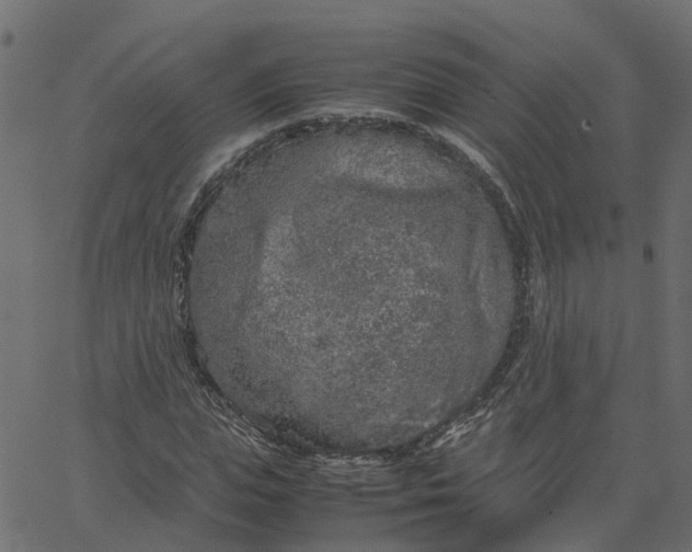 X0000067870823200604271733