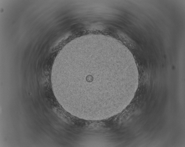 X0000067870824200604271733