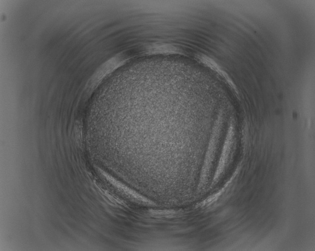 X0000067870825200604271733