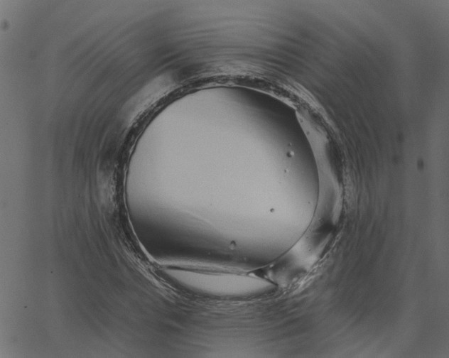 X0000067870826200604271733