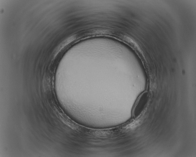 X0000067870827200604271733