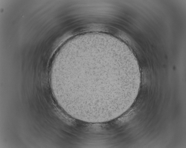 X0000067870828200604271733