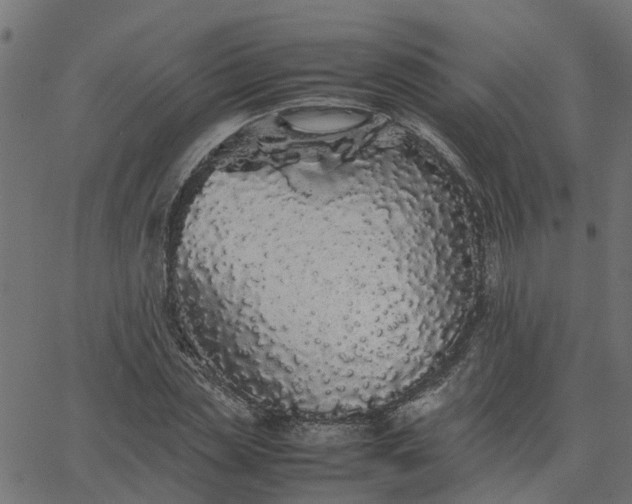 X0000067870829200604271733