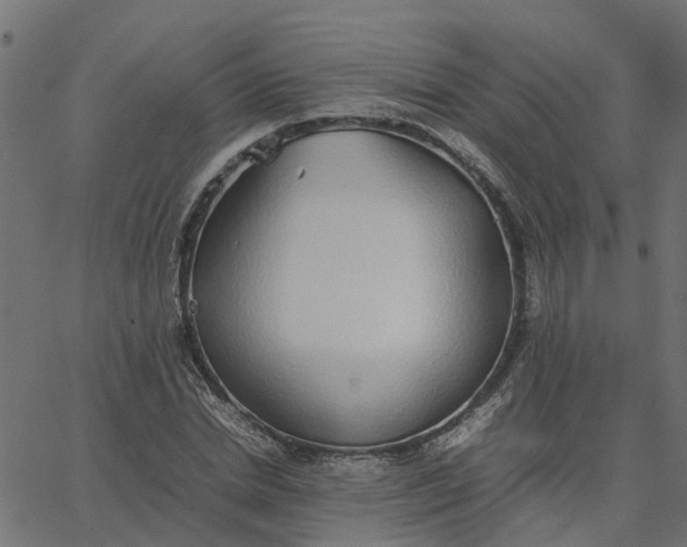 X0000067870830200604271733