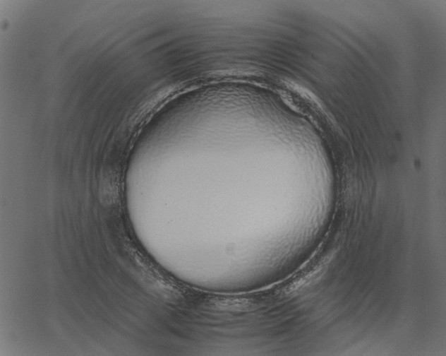 X0000067870833200604271734