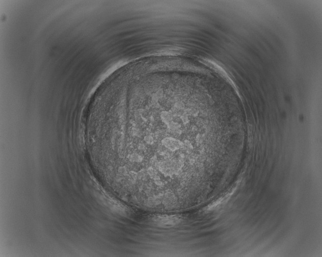 X0000067870835200604271734