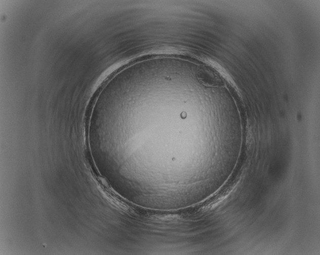 X0000067870837200604271734