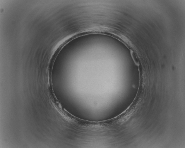 X0000067870838200604271734