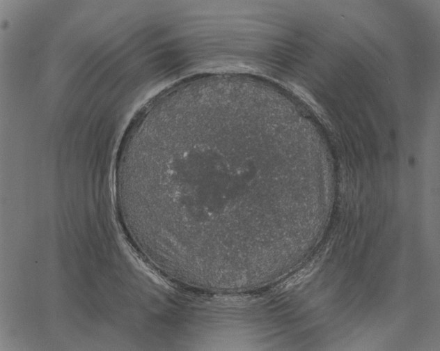 X0000067870840200604271734