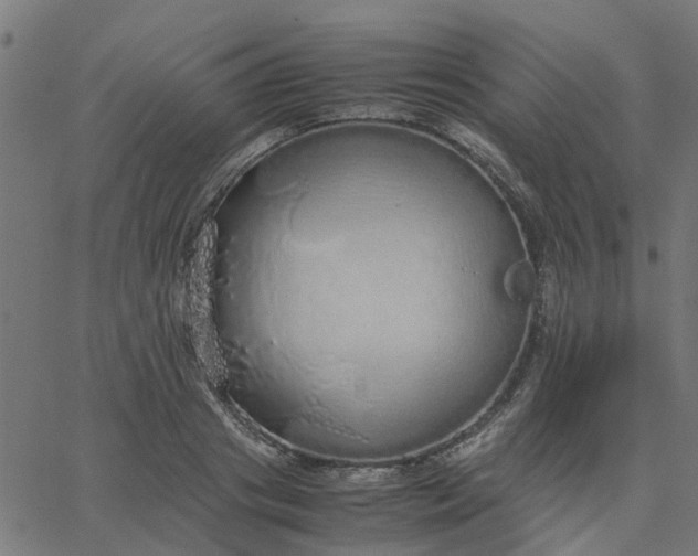 X0000067870841200604271734