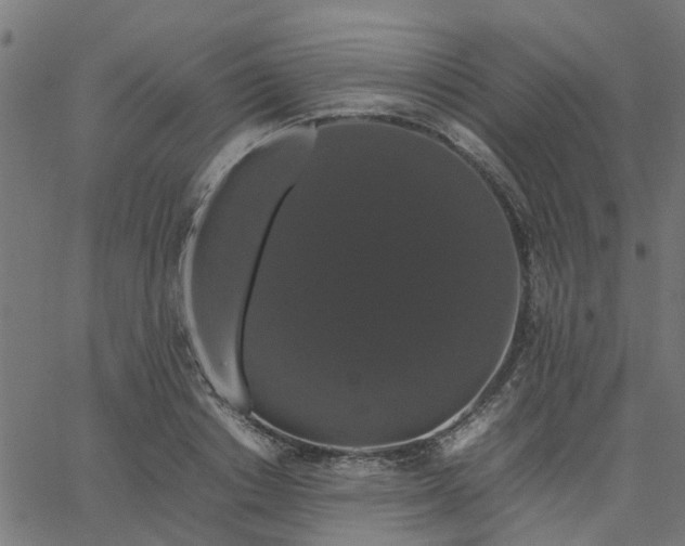 X0000067870842200604271734