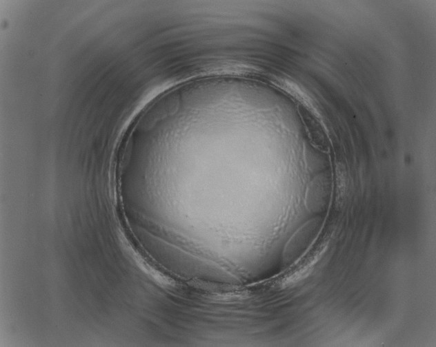 X0000067870843200604271734