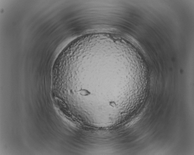 X0000067870844200604271734