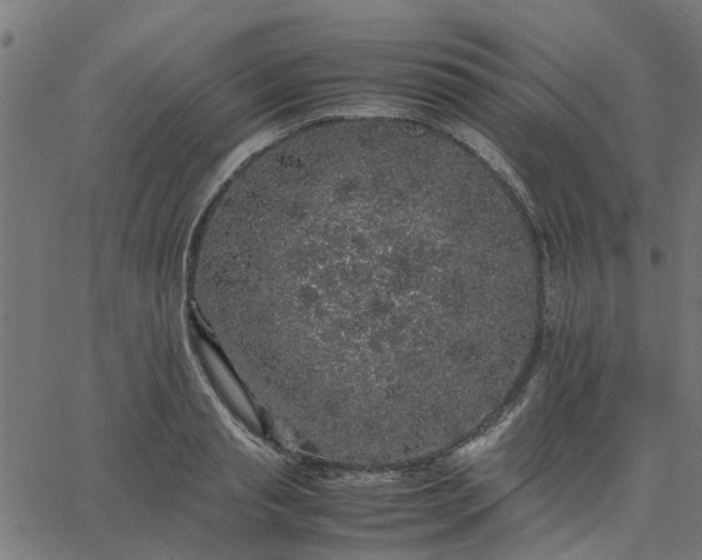 X0000067870845200604271734