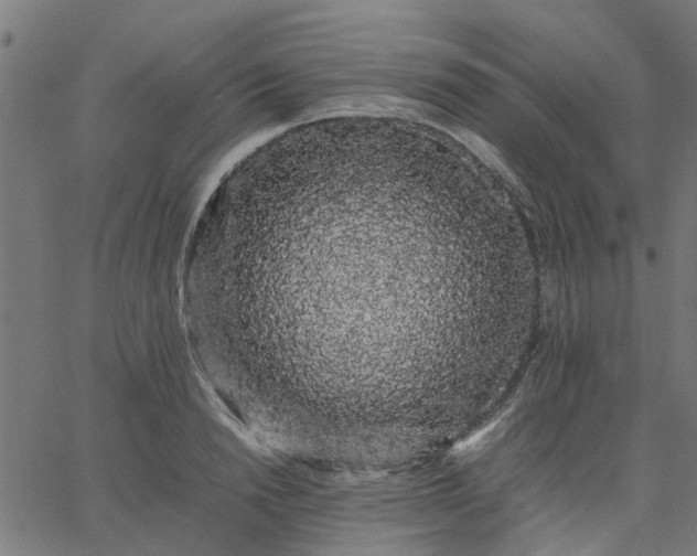 X0000067870846200604271734