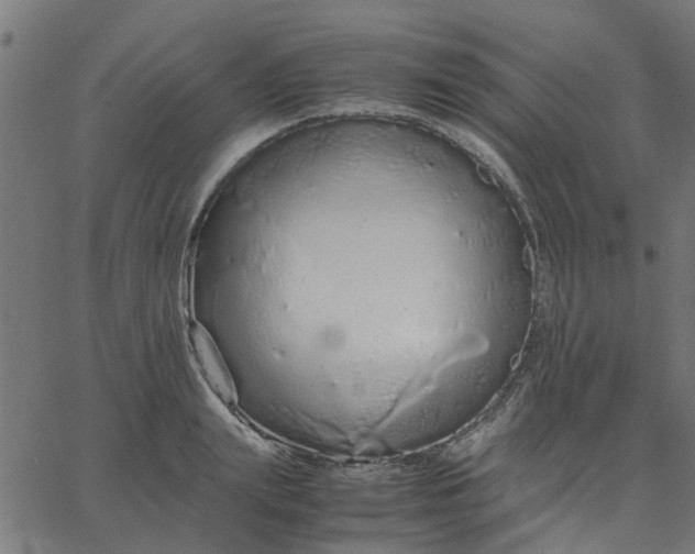 X0000067870847200604271734