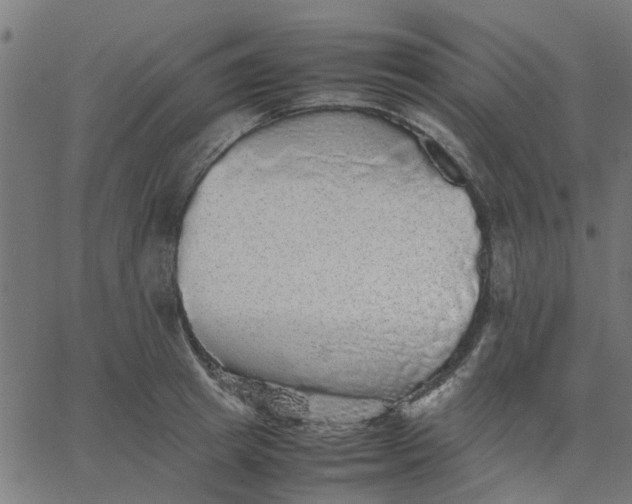 X0000067870849200604271734