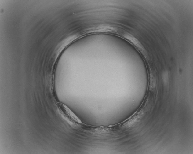 X0000067870850200604271734