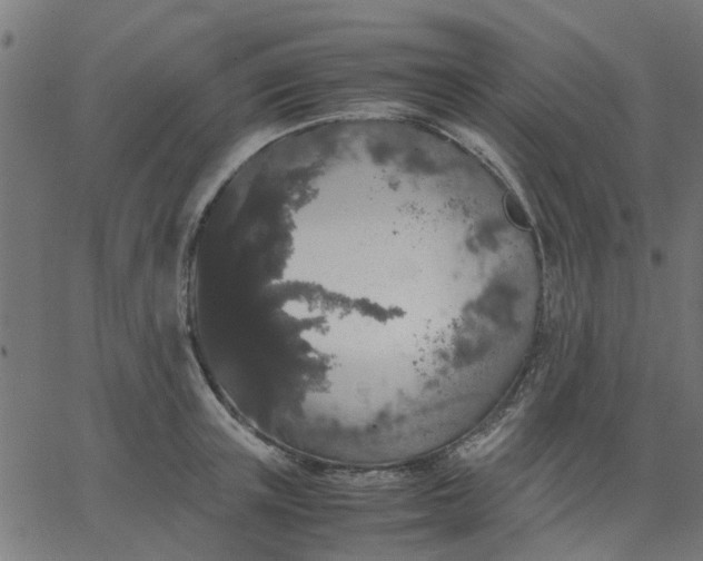 X0000067870851200604271734