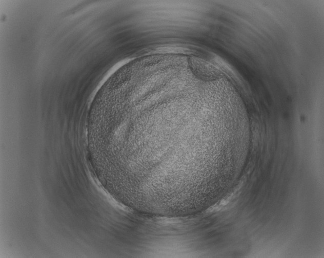 X0000067870852200604271734