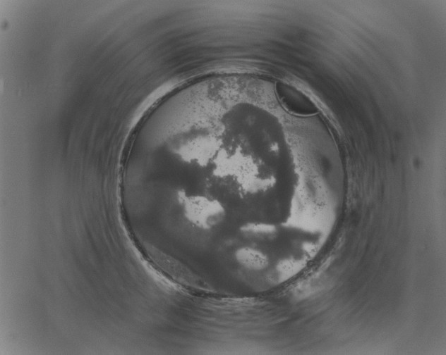 X0000067870853200604271734