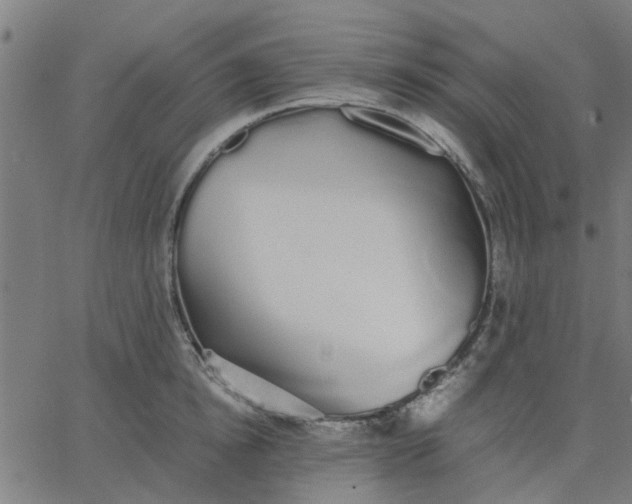 X0000067870854200604271734