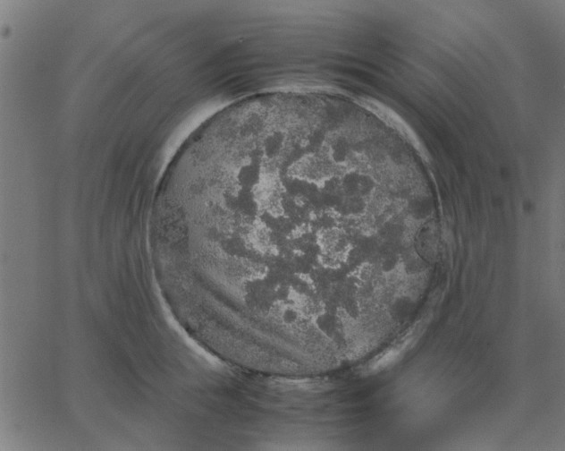 X0000067870855200604271734