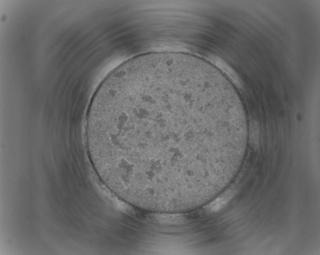 X0000067870856200604271734