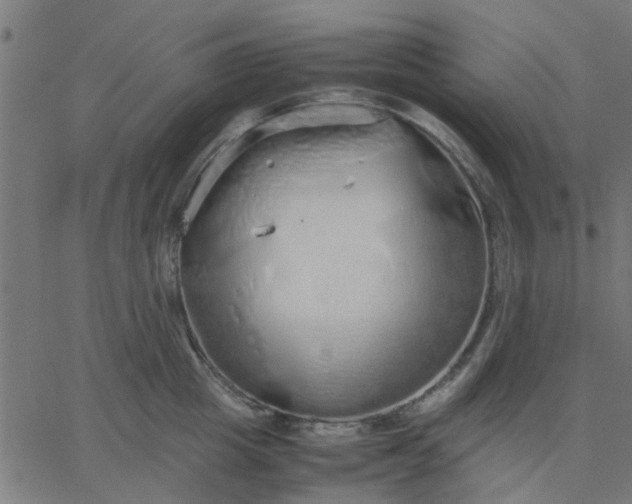 X0000067870857200604271734