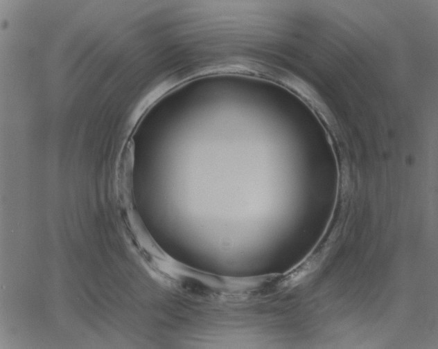 X0000067870858200604271734