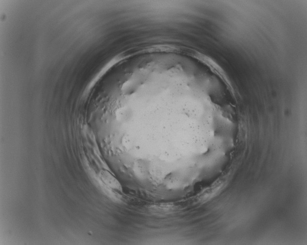 X0000067870859200604271734