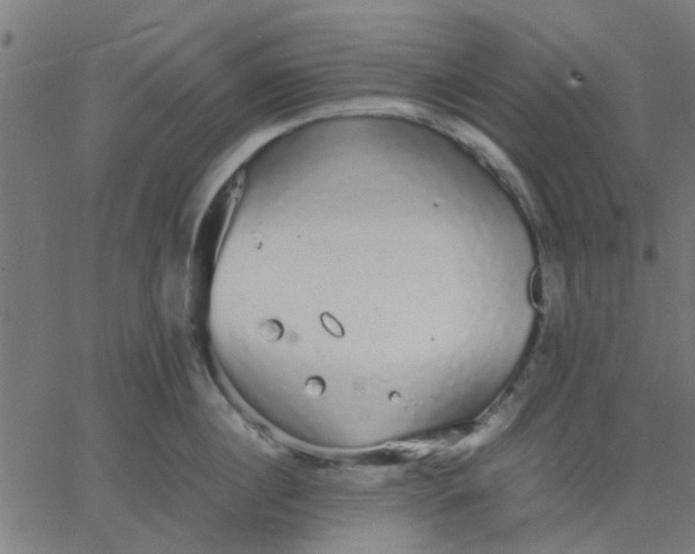 X0000067870860200604271734