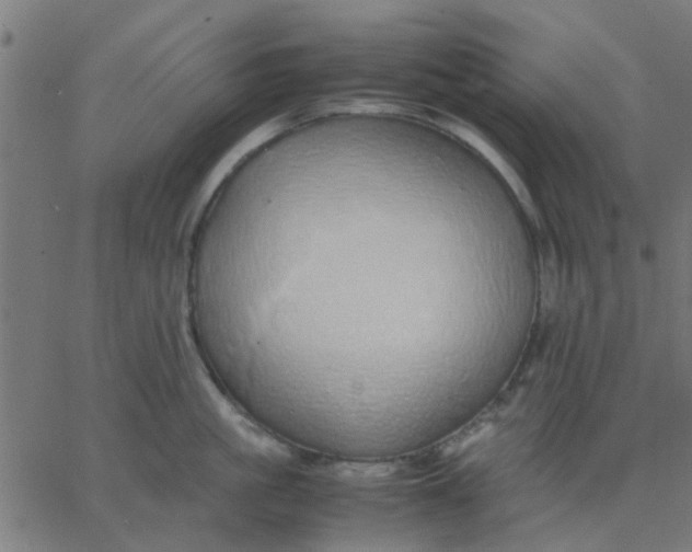 X0000067870861200604271734