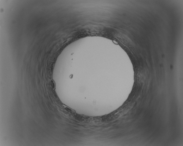 X0000067870865200604271733