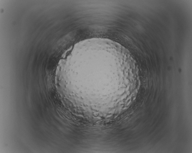 X0000067870866200604271733