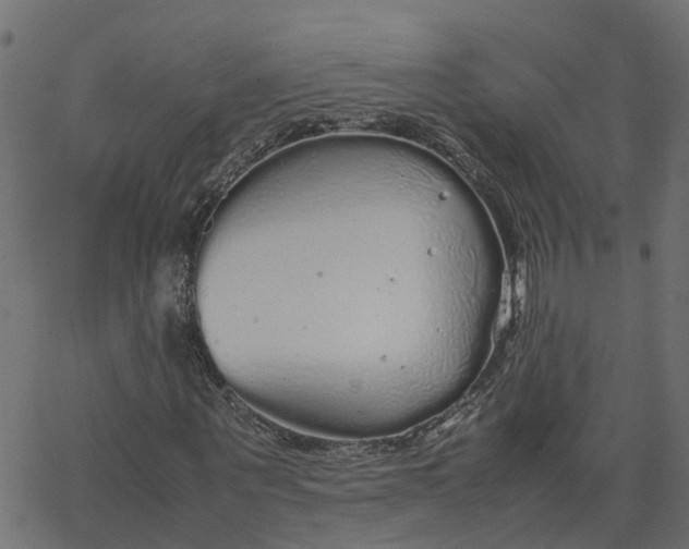 X0000067870867200604271733