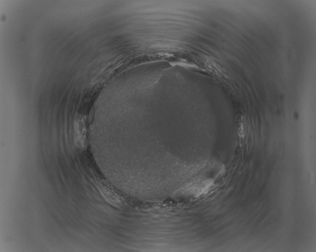 X0000067870868200604271733