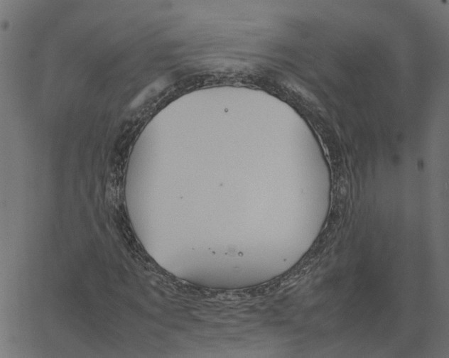 X0000067870869200604271733