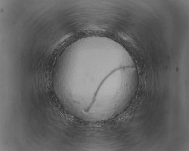 X0000067870870200604271733