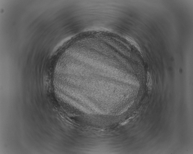 X0000067870872200604271733