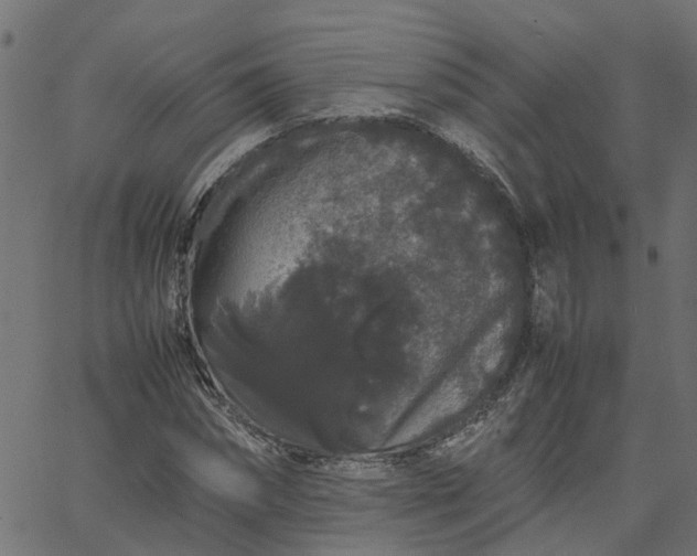 X0000067870874200604271733