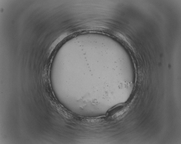 X0000067870875200604271733