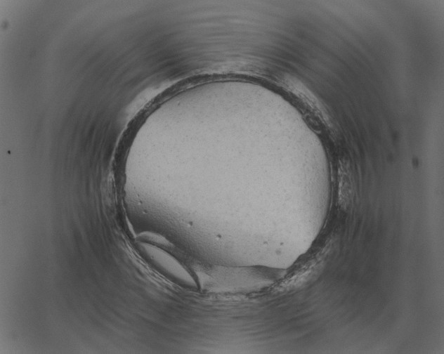 X0000067870876200604271733