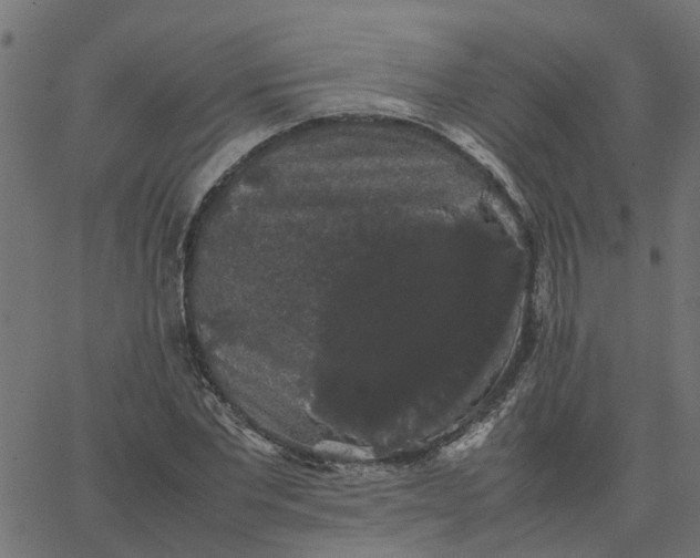 X0000067870877200604271733