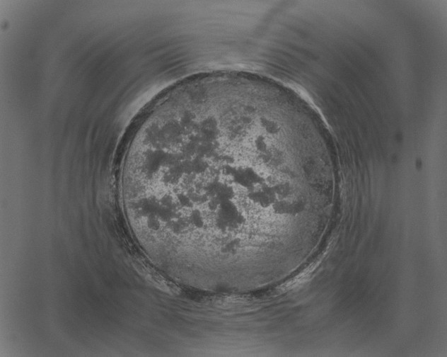 X0000067870879200604271733