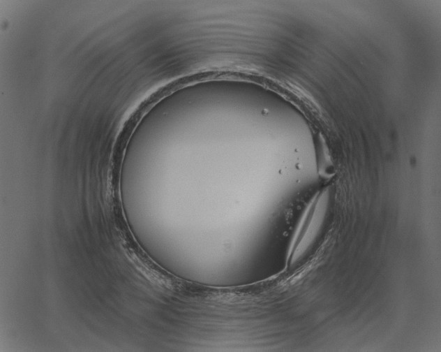 X0000067870880200604271733