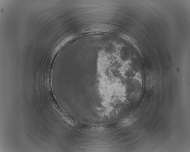 X0000067870882200604271733